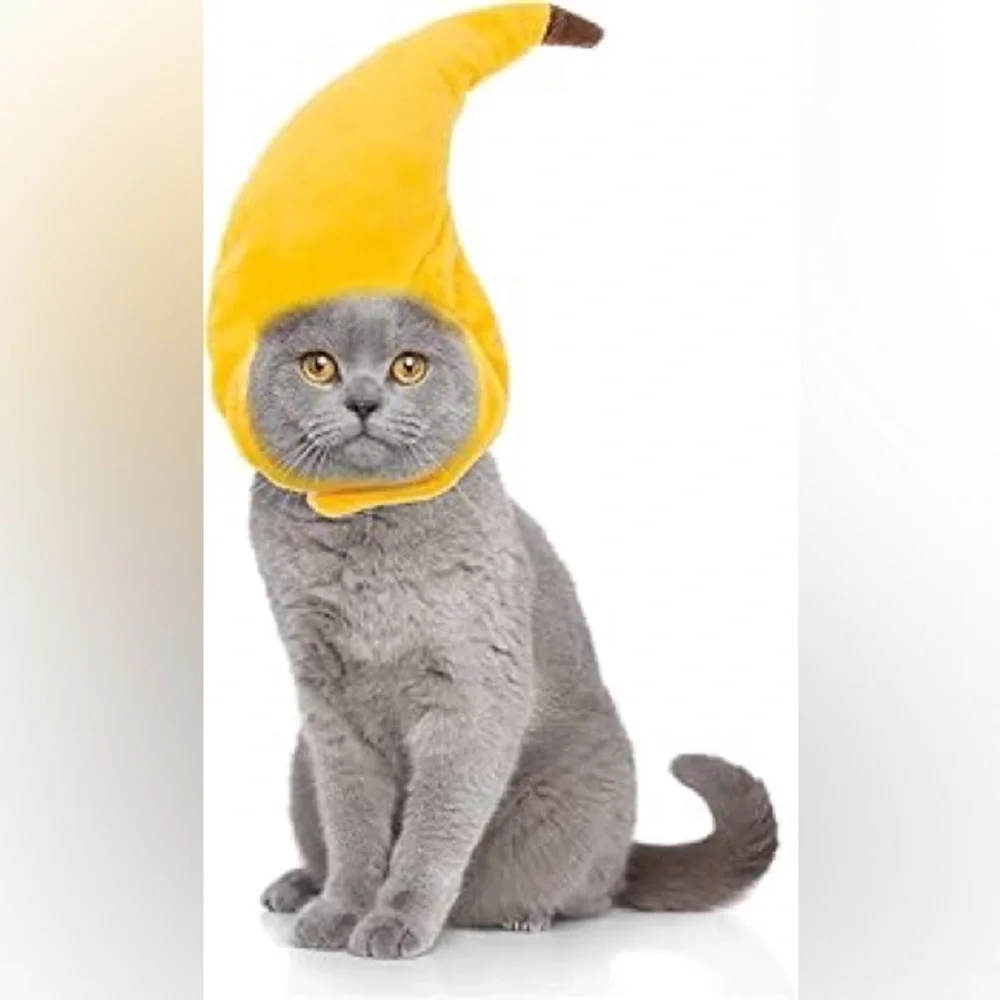 3-Piece Pet Hat Set for Cats & Small Dogs - Banana, Sunflower, and Apple Design